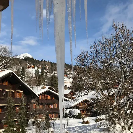 Apartman Meurice, 451, Village Les Diablerets